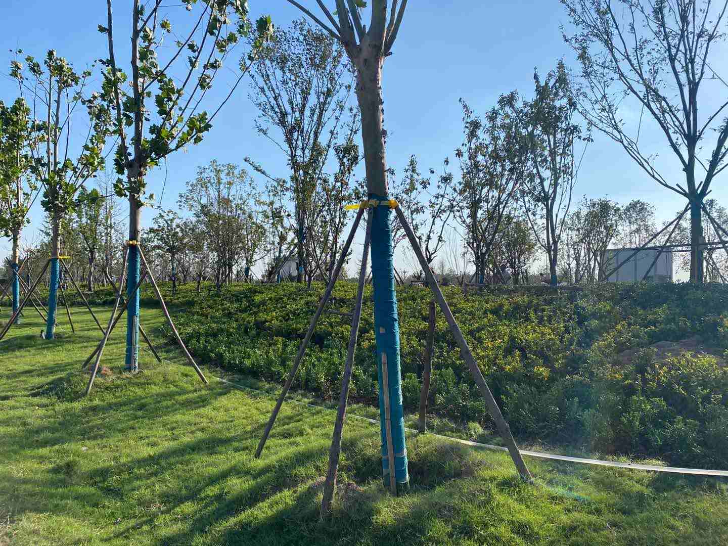 פʻչĿ-013